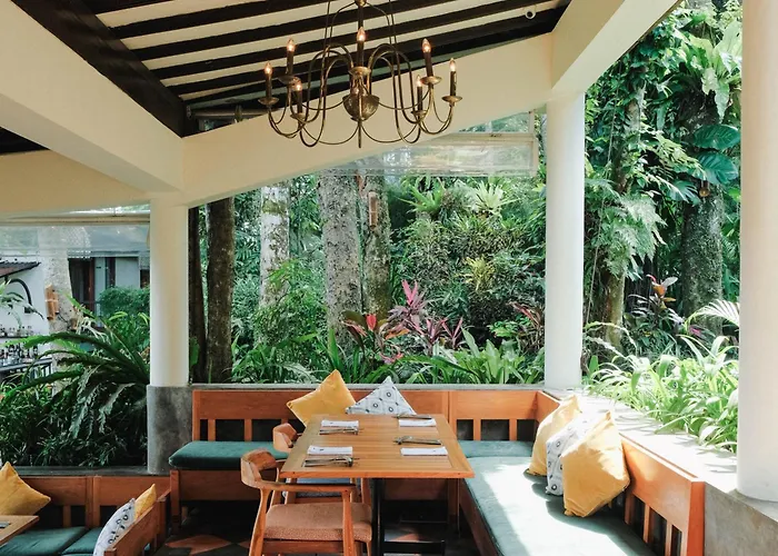 The Sayan House *