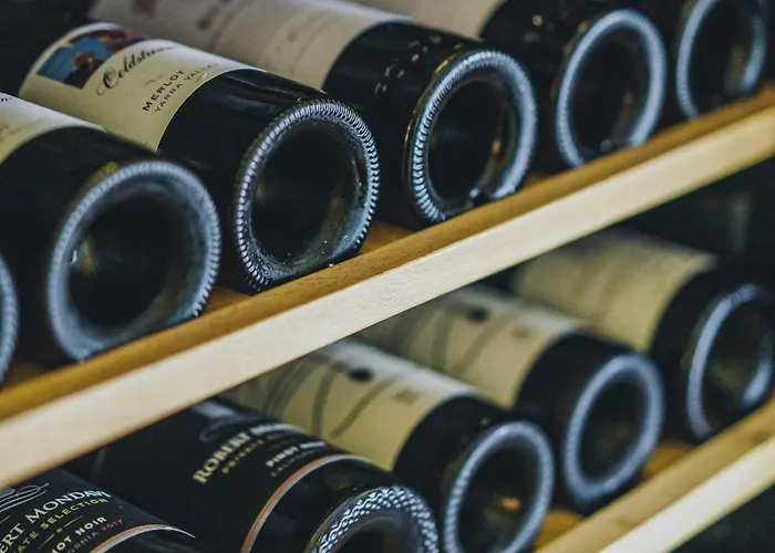 The Sayan House